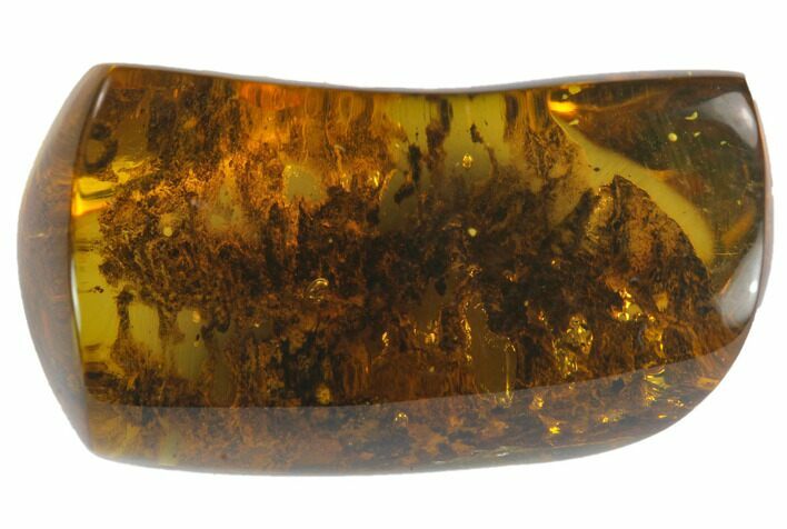 Polished Chiapas Amber ( g) - Mexico #114817